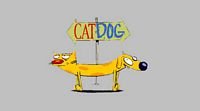 pic for  cat dog 3